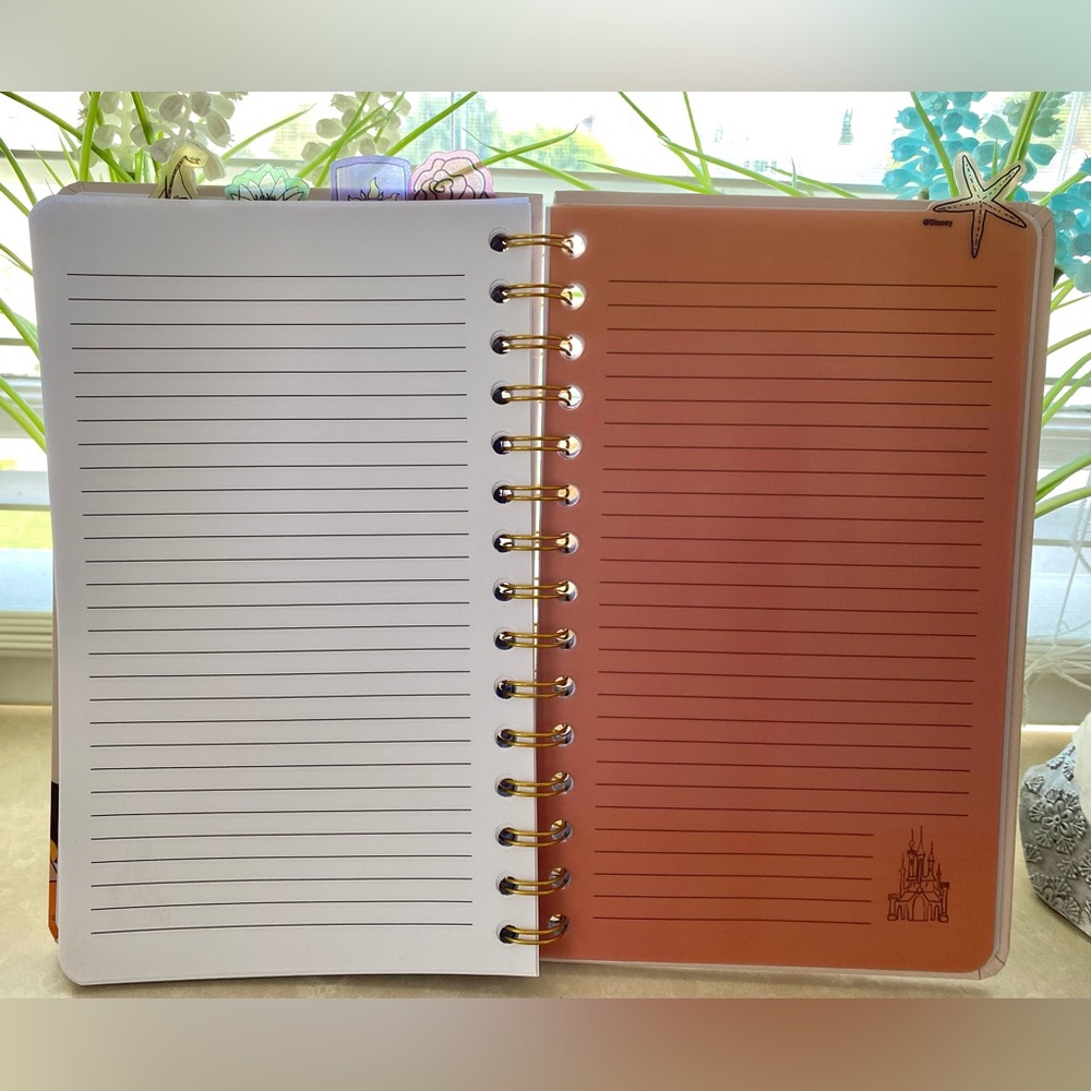 Disney Princesses✨Journal - Picture 5 of 10